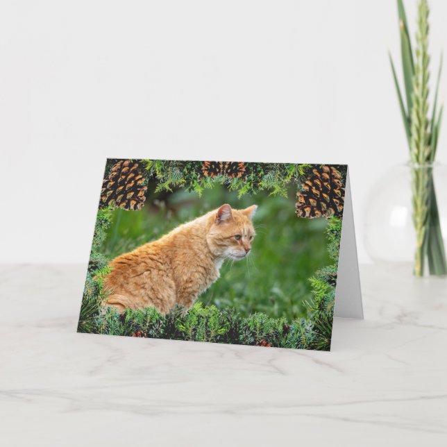 Carte de Noël Orange Chat (Devant)