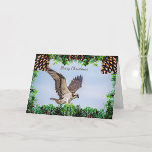 Carte de Noël Osprey