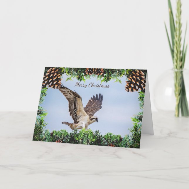 Carte de Noël Osprey (Devant)