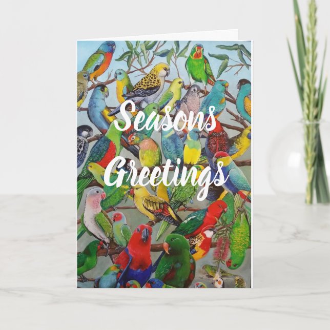 Carte de Noël Parakethe Australian (Devant)