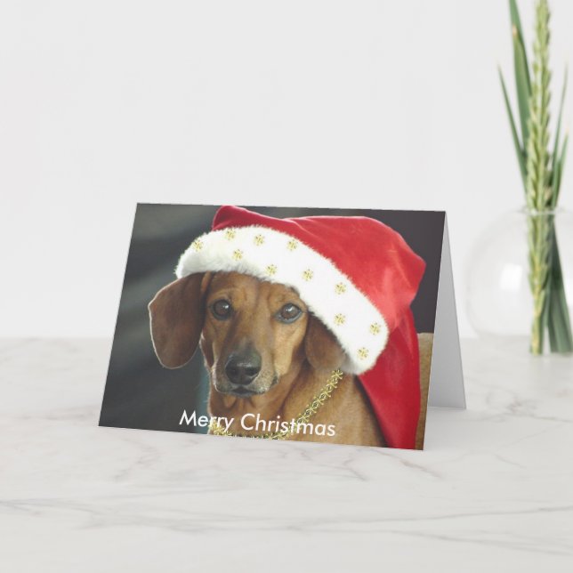 Carte de Noël - Père Noël Dachshund (Devant)