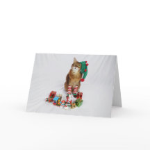 Carte de Noël père Noël Kitty Elf avec été