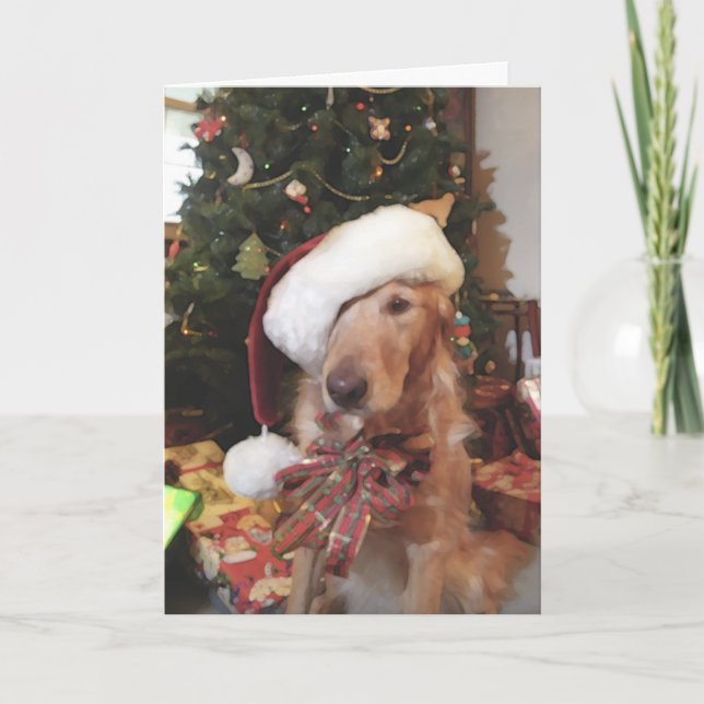 Carte de Noël père Noël Paws (Devant)