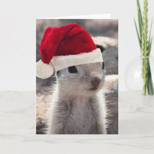 Carte de Noël père Noël Squirel