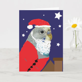 Carte de Noël Perruche Père Noël