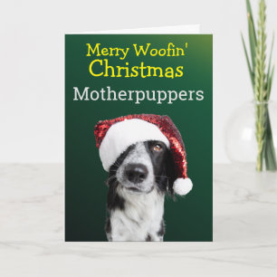 Carte de Noël personnalisée de votre Collie Bordur
