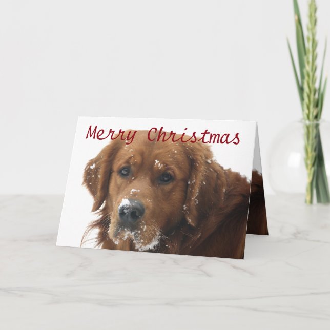 Carte de Noël personnalisée pour animal de compagn (Devant)