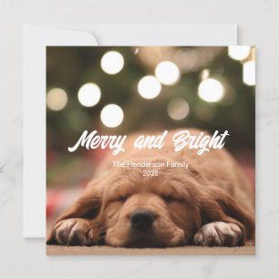 Carte de Noël photo amusante, joyeuse et lumineuse
