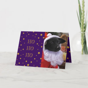 Carte de Noël photo chien ou ajouter votre propre 