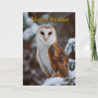 Carte de Noël photo de chouette effraie majestueus