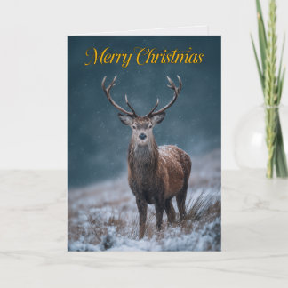 Carte de Noël photo du cerf élaphe majestueux