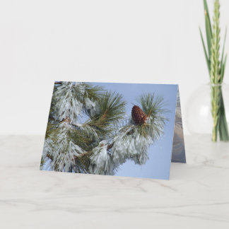 Carte de Noël - Pinecone