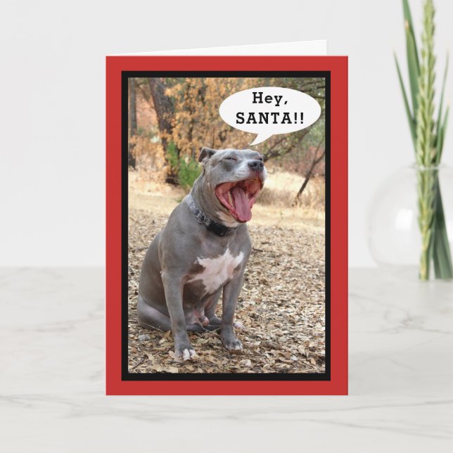 Carte de Noël Pitbull Hey Père Noël (Devant)