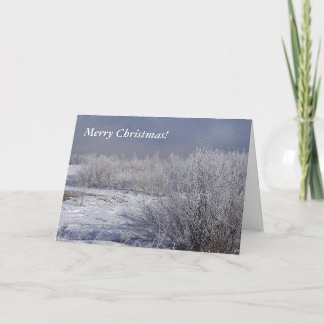 Carte de Noël pittoresque hiver Willows (Devant)