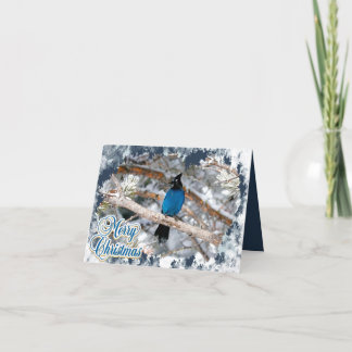 Carte de Noël pliée Geai de Steller Joyeux Noël