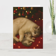 Carte de Noël pliée Sleeping Cats