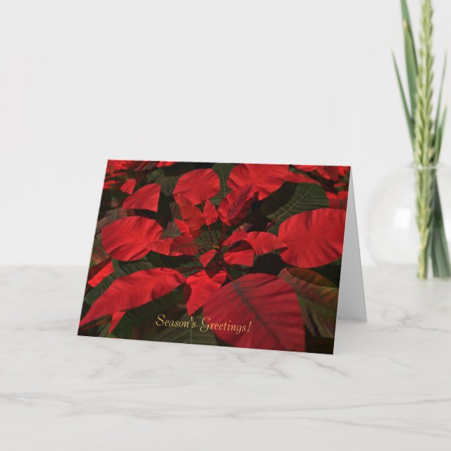 Carte de Noël "Poinsettia" (Devant)