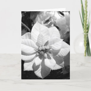 Carte de Noël Poinsettia noir et blanc