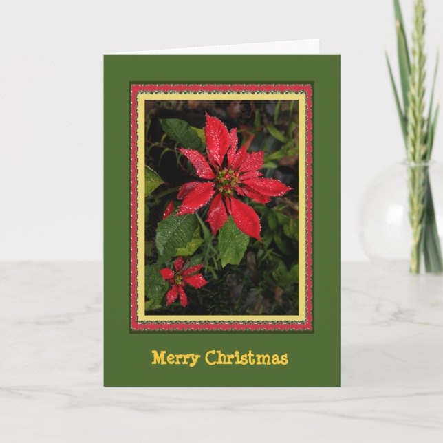 Carte de Noël Poinsettia personnalisable (Devant)