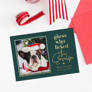Carte de Noël pour animal de compagnie utile