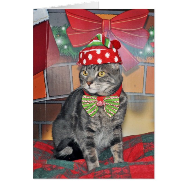 Carte de Noël pour chat gris (Devant)