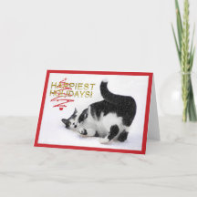 Carte de Noël pour chat noir et blanc