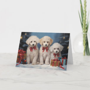 Carte de Noël pour chien de caniche