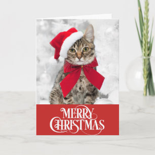 Carte de Noël pour chien de chat
