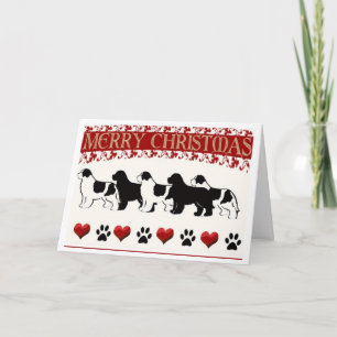 Carte de Noël pour chien de Terre-Neuve