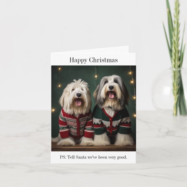 Carte de Noël pour chiens de mouton anglais (Devant)
