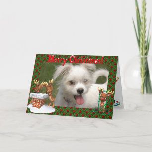 Carte de Noël pour le cadre photo Cute Reindeer