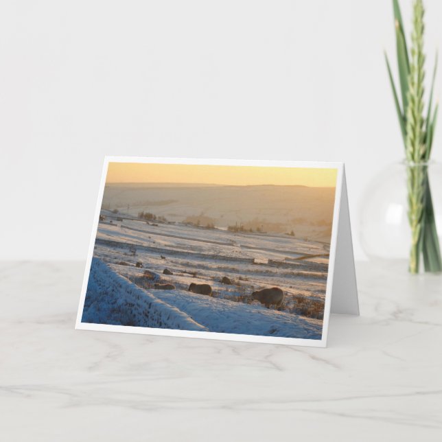 Carte de Noël pour les moutons d'hiver (Devant)