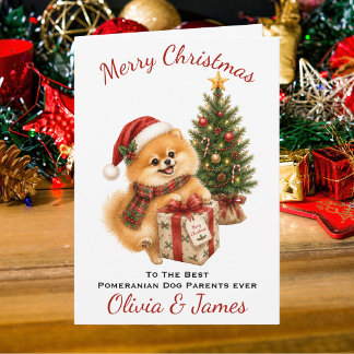 Carte de Noël pour parents de Spitz Nain
