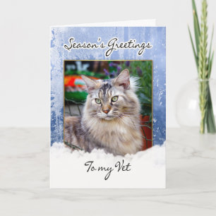 Carte de Noël pour vétérinaire - carte de Noël pou