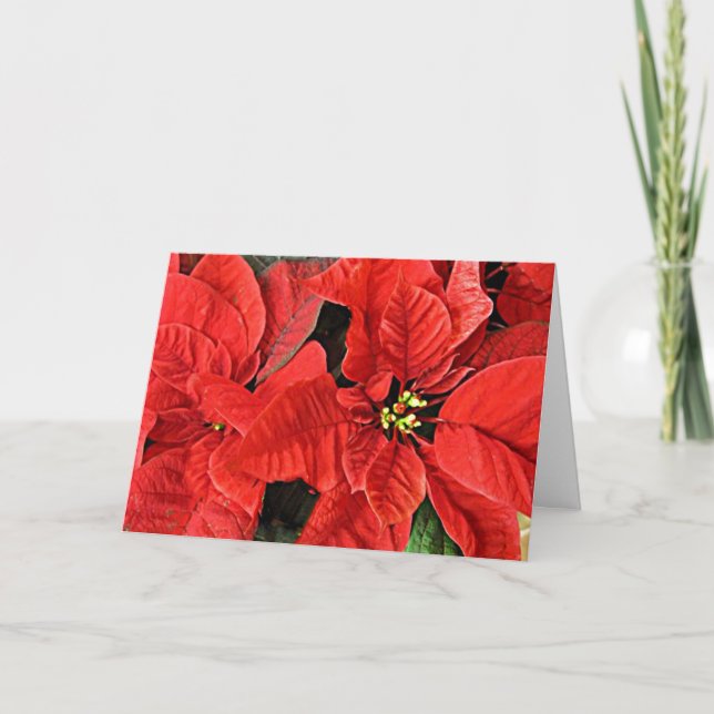 Carte de Noël Red Poinsettias (Devant)