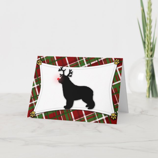 Carte de Noël Reindeer de Terre-Neuve (Devant)