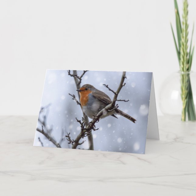 Carte de Noël Robin des neiges (Devant)