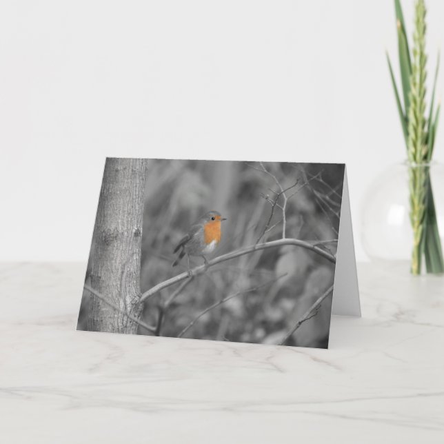 Carte de Noël Robin Redmamin (Devant)