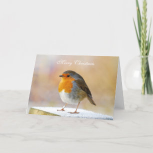 Carte de Noël Robin Redmamin