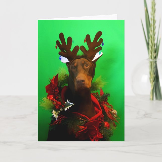 Carte de Noël rouge de dobermann (Devant)