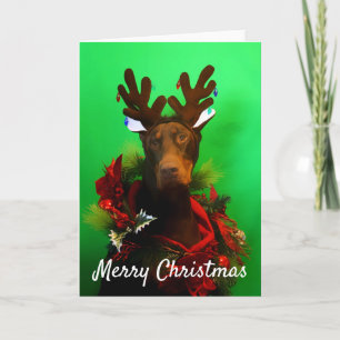 Carte de Noël rouge de dobermann