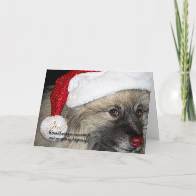 Carte de Noël rouge de Keeshond de nez (Devant)