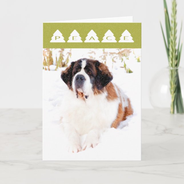 Carte de Noël Saint Bernard (Devant)