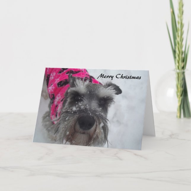 Carte de Noël Schnauzer (Devant)