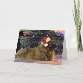 Carte de Noël scintillante de Leonberger