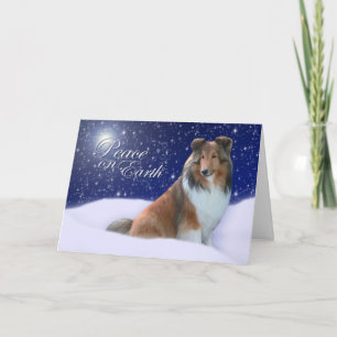 Carte de Noël Shelter Peace