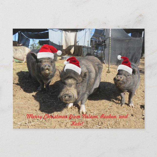 Carte de Noël Silverbells ! (Devant)