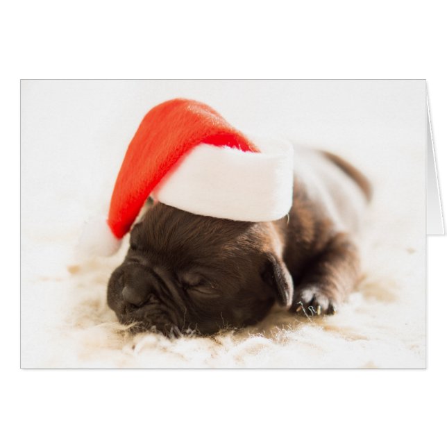 Carte de Noël Sleepy Bulldog Puppy (Devant horizontal)