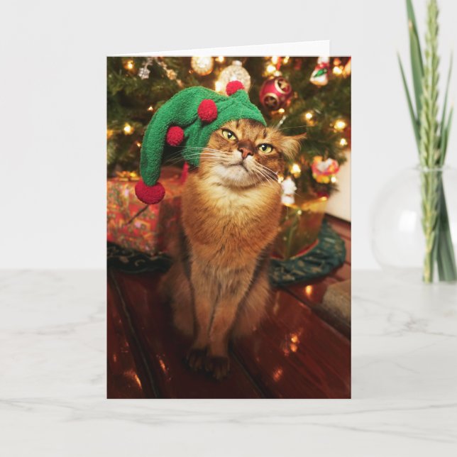 Carte de Noël somalienne de chat d'Elf Kitty de (Devant)