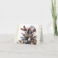 Carte de Noël Sphynx Cat
